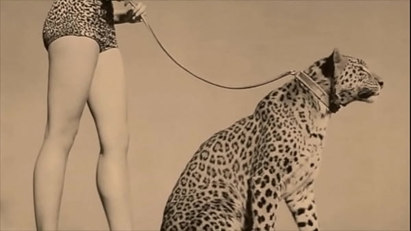 Dark Lantern Entertainment presents ‘Vintage Nature Girls’