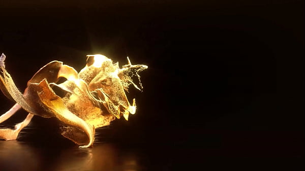 Newbie Lorena arteche first anal. Big black cock parte 2