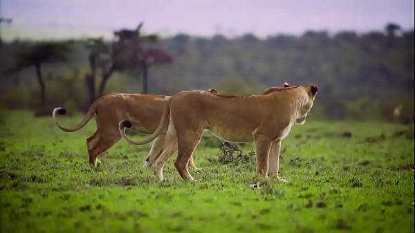 enter detailed title including model names for more views