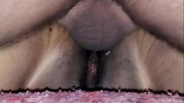 primer plano en 4, me pide que le bombee calentito dentro