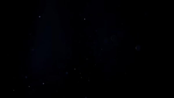 Cara de sorte fodendo a Tiffany Montavani, MILF brasileira exuberante