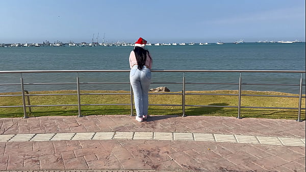 My Christmas dinner for Christmas.