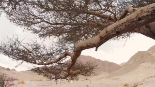 PUBLIC TEEN SEX IN THE DESERT – ISEEME 4K 60FPS