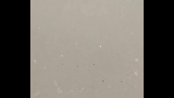 Been MIA a bit the last few weeks. Moving and gearing up for the Summer has consumed most of my time.I did manage to sn …