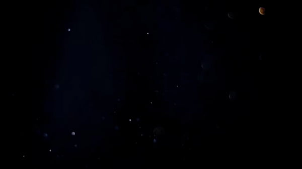 MILF BBW de bunda enorme chupa 2 paus ao mesmo tempo e faz anal na suruba