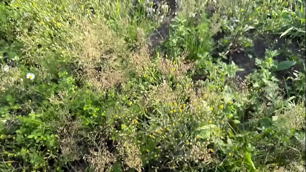 A hot brunette was sunbathing in the forest and having sex with a stranger